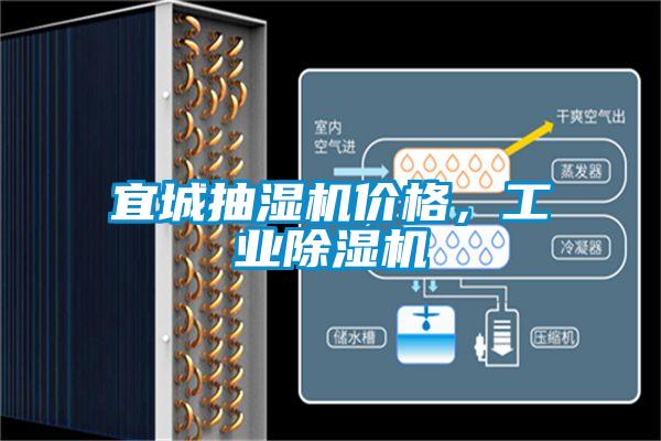 宜城抽濕機價格，工業(yè)除濕機