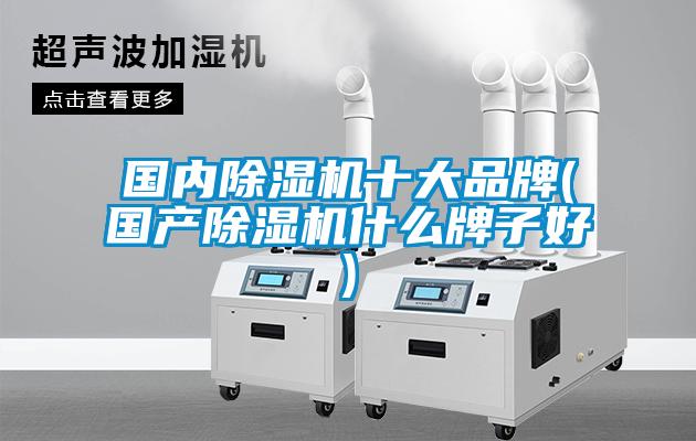 國(guó)內(nèi)除濕機(jī)十大品牌(國(guó)產(chǎn)除濕機(jī)什么牌子好)