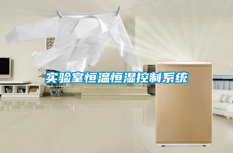 實驗室恒溫恒濕控制系統(tǒng)