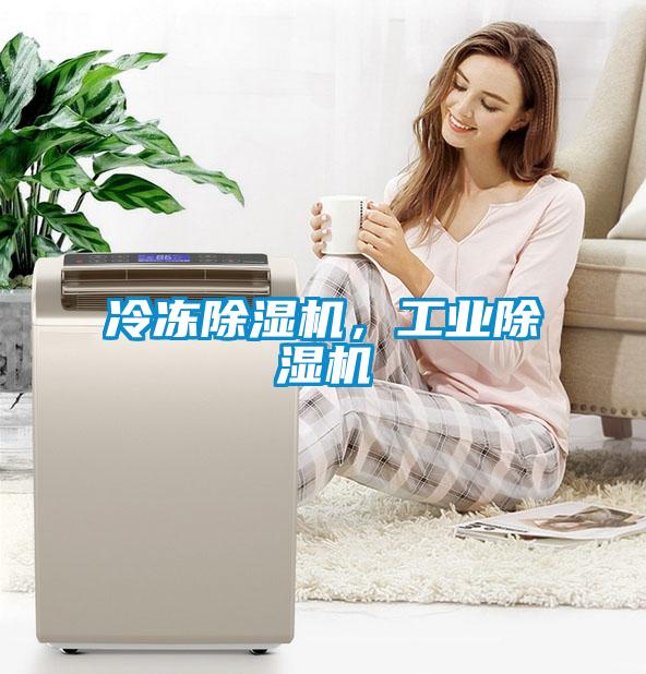冷凍除濕機(jī)，工業(yè)除濕機(jī)