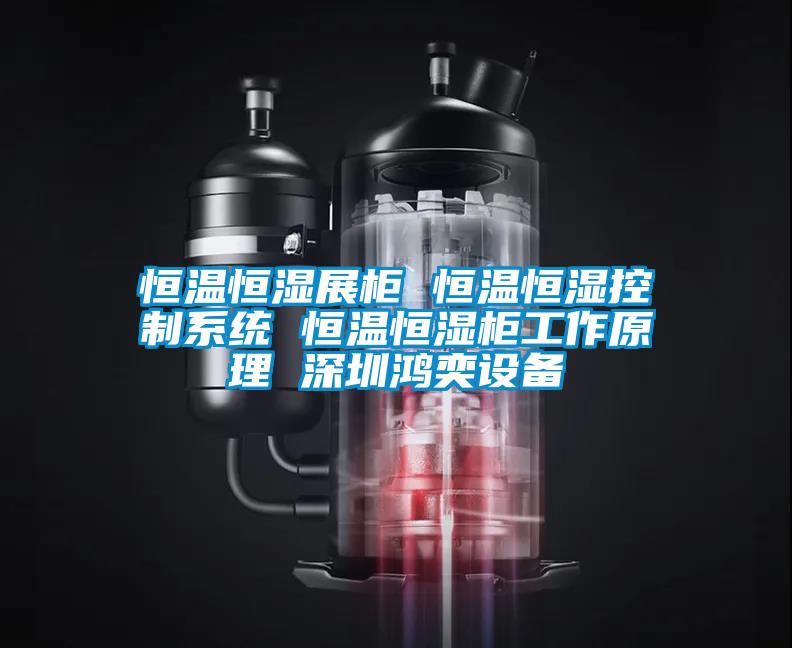 恒溫恒濕展柜 恒溫恒濕控制系統(tǒng) 恒溫恒濕柜工作原理 深圳鴻奕設(shè)備