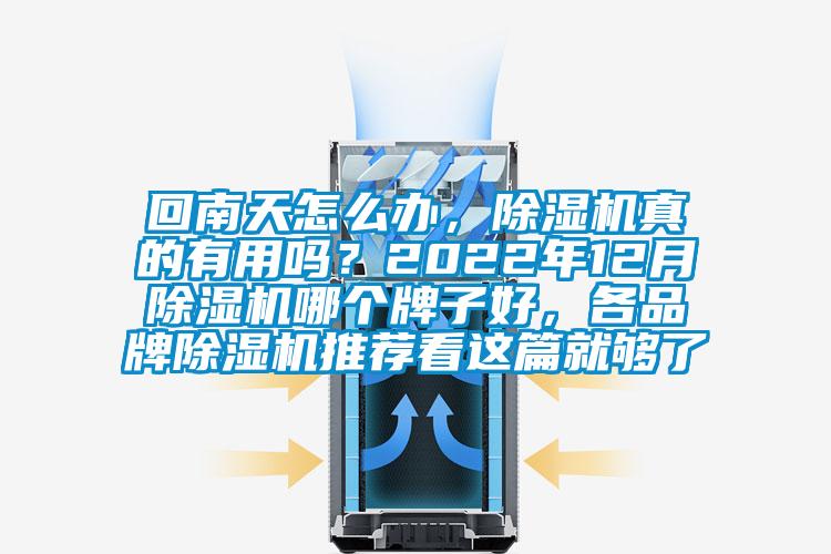 回南天怎么辦，除濕機真的有用嗎？2022年12月除濕機哪個牌子好，各品牌除濕機推薦看這篇就夠了