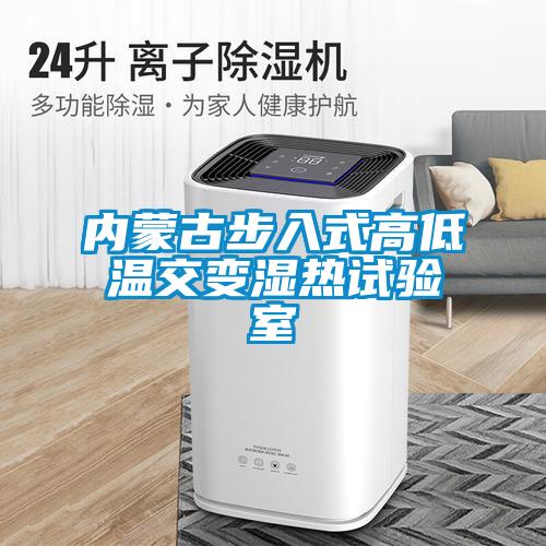 內(nèi)蒙古步入式高低溫交變濕熱試驗(yàn)室
