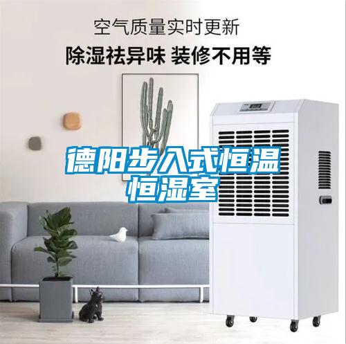 德陽步入式恒溫恒濕室