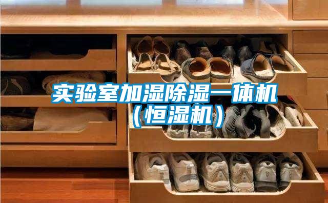 實(shí)驗(yàn)室加濕除濕一體機(jī)（恒濕機(jī)）