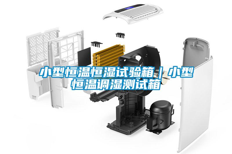 小型恒溫恒濕試驗箱｜小型恒溫調(diào)濕測試箱