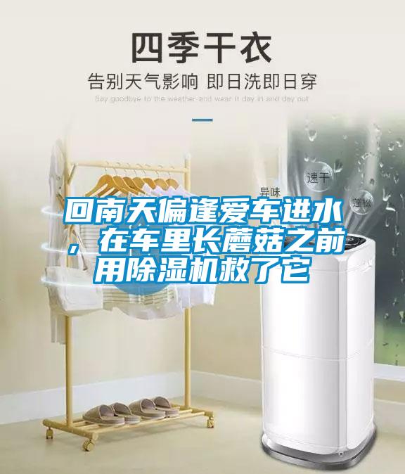 回南天偏逢愛車進水，在車里長蘑菇之前用除濕機救了它