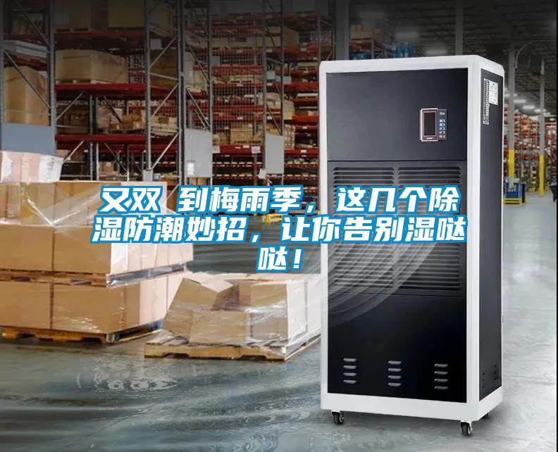 又雙叒到梅雨季，這幾個除濕防潮妙招，讓你告別濕噠噠！