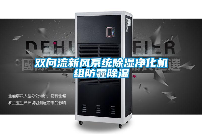 雙向流新風系統除濕凈化機組防霾除濕