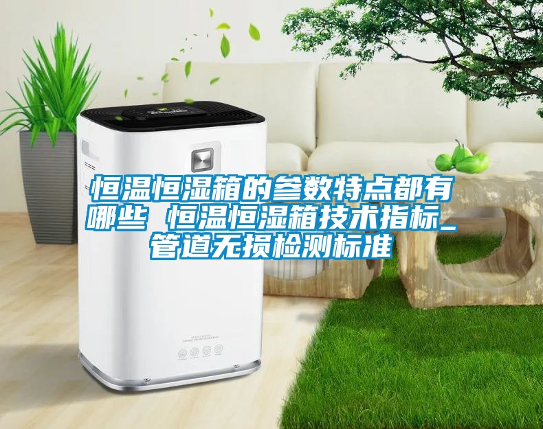 恒溫恒濕箱的參數(shù)特點(diǎn)都有哪些 恒溫恒濕箱技術(shù)指標(biāo)_管道無損檢測標(biāo)準(zhǔn)