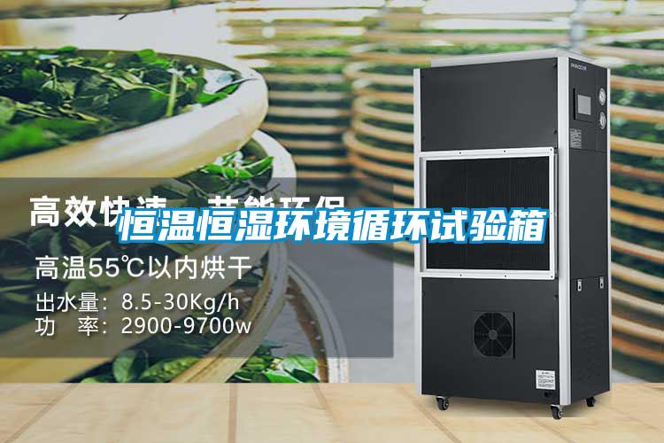 恒溫恒濕環境循環試驗箱
