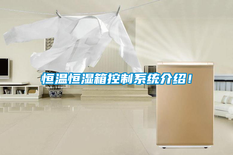 恒溫恒濕箱控制系統介紹！