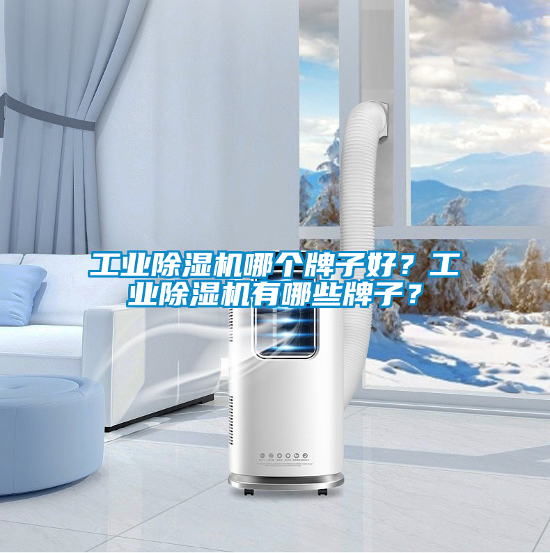 工業(yè)除濕機(jī)哪個牌子好？工業(yè)除濕機(jī)有哪些牌子？