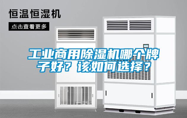 工業商用除濕機哪個牌子好？該如何選擇？