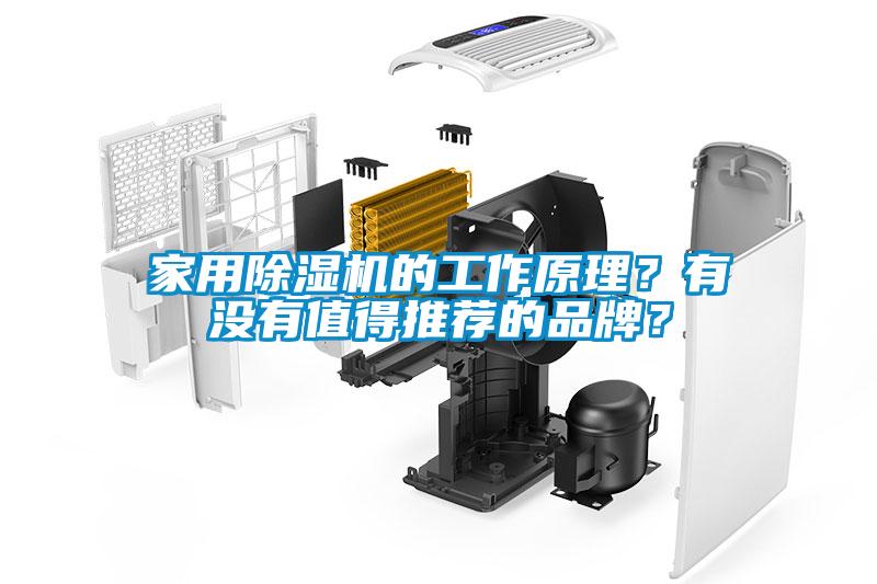 家用除濕機的工作原理？有沒有值得推薦的品牌？