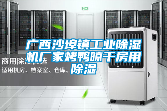 廣西沙埠鎮(zhèn)工業(yè)除濕機(jī)廠家烤鴨晾干房用除濕