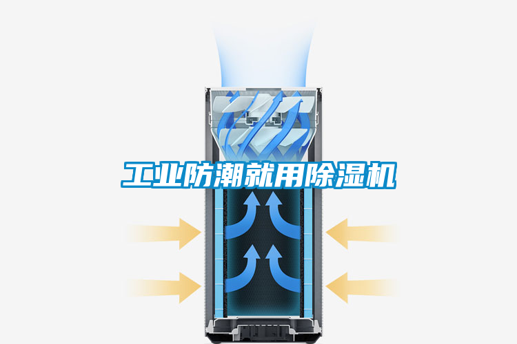 工業(yè)防潮就用除濕機(jī)