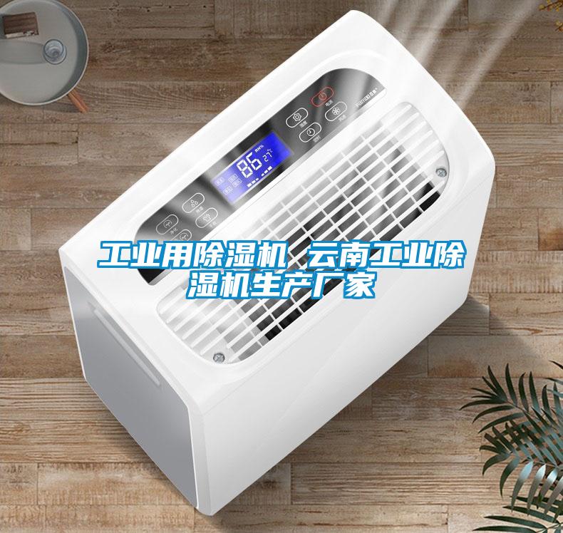 工業用除濕機 云南工業除濕機生產廠家