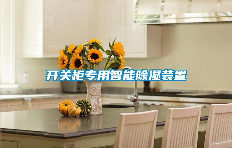 開關(guān)柜專用智能除濕裝置