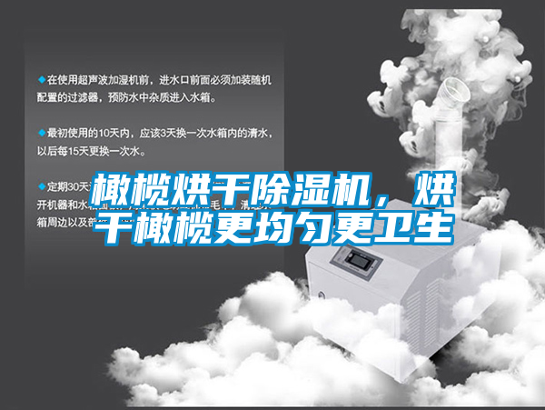 橄欖烘干除濕機(jī)，烘干橄欖更均勻更衛(wèi)生