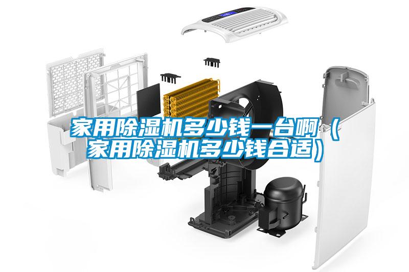 家用除濕機多少錢一臺啊（家用除濕機多少錢合適）