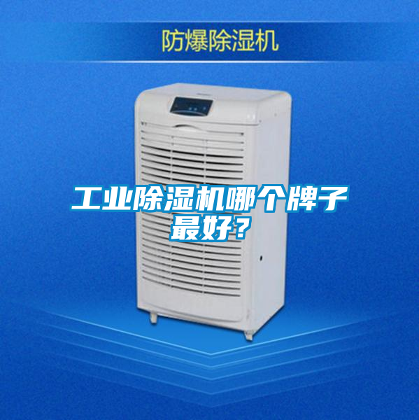 工業除濕機哪個牌子最好？