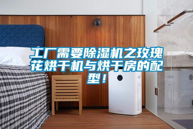 工廠需要除濕機(jī)之玫瑰花烘干機(jī)與烘干房的配型！