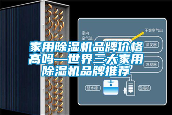 家用除濕機(jī)品牌價格高嗎—世界三大家用除濕機(jī)品牌推薦