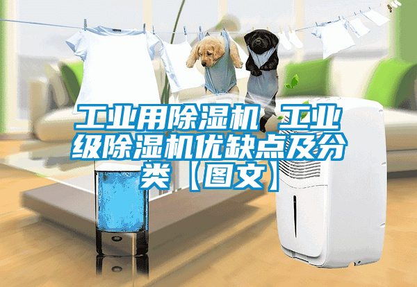 工業(yè)用除濕機(jī) 工業(yè)級(jí)除濕機(jī)優(yōu)缺點(diǎn)及分類【圖文】
