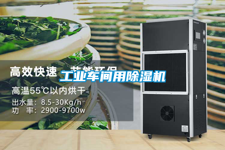 工業(yè)車間用除濕機