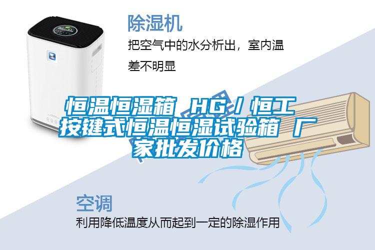 恒溫恒濕箱 HG／恒工 按鍵式恒溫恒濕試驗箱 廠家批發(fā)價格
