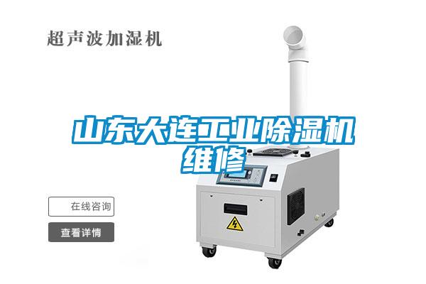 山東大連工業除濕機維修