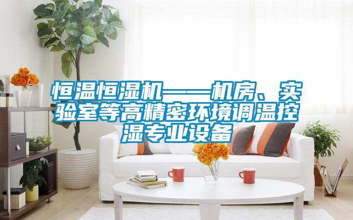 恒溫恒濕機——機房、實驗室等高精密環(huán)境調(diào)溫控濕專業(yè)設(shè)備