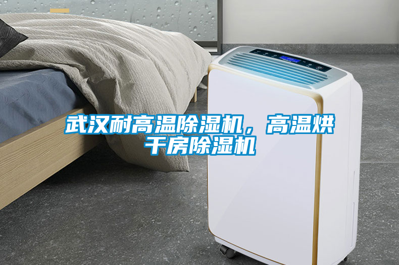 武漢耐高溫除濕機(jī)，高溫烘干房除濕機(jī)