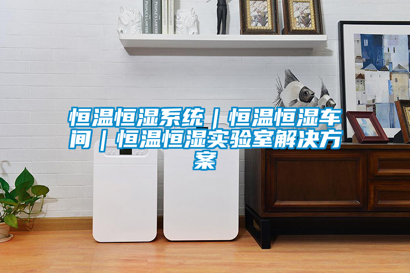 恒溫恒濕系統(tǒng)｜恒溫恒濕車間｜恒溫恒濕實驗室解決方案