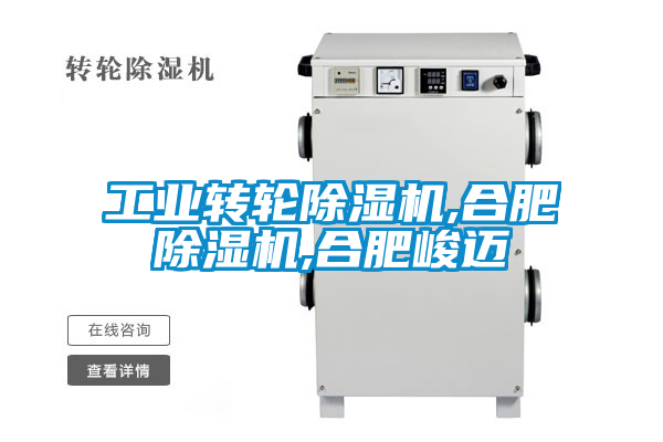 工業(yè)轉(zhuǎn)輪除濕機(jī),合肥除濕機(jī),合肥峻邁