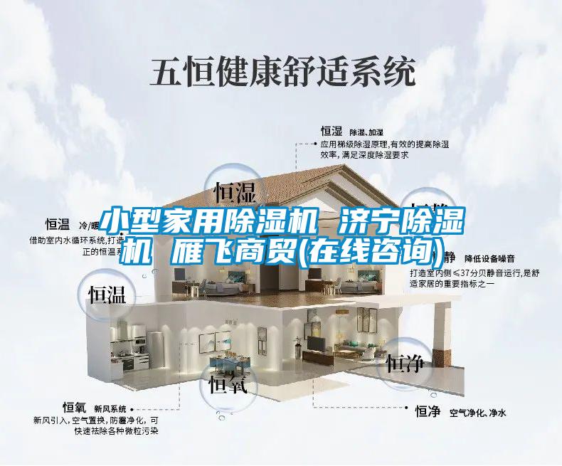小型家用除濕機 濟寧除濕機 雁飛商貿(在線咨詢)
