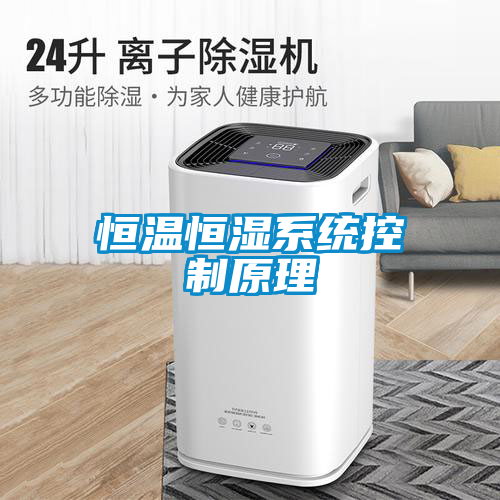 恒溫恒濕系統(tǒng)控制原理