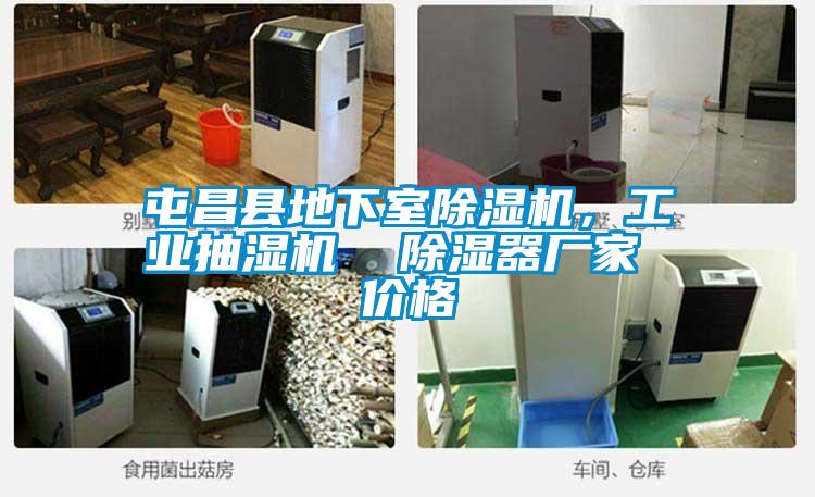 屯昌縣地下室除濕機，工業抽濕機  除濕器廠家 價格