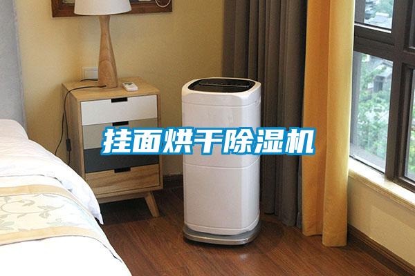 掛面烘干除濕機(jī)