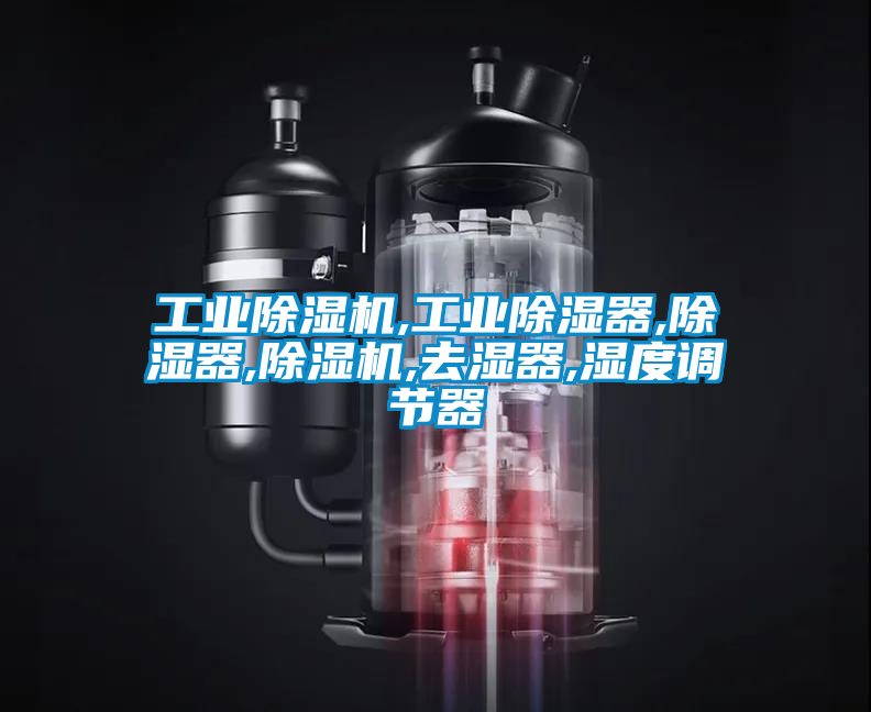 工業(yè)除濕機(jī),工業(yè)除濕器,除濕器,除濕機(jī),去濕器,濕度調(diào)節(jié)器