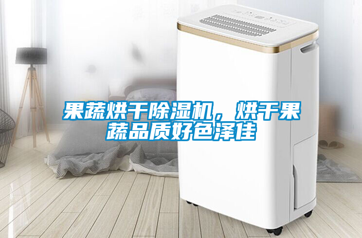 果蔬烘干除濕機，烘干果蔬品質(zhì)好色澤佳