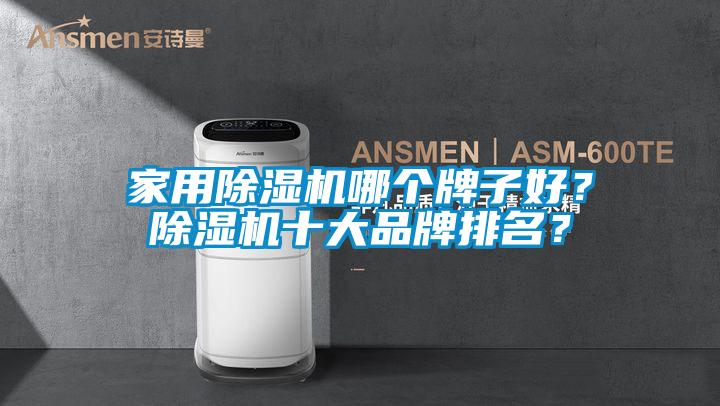 家用除濕機哪個牌子好？除濕機十大品牌排名？
