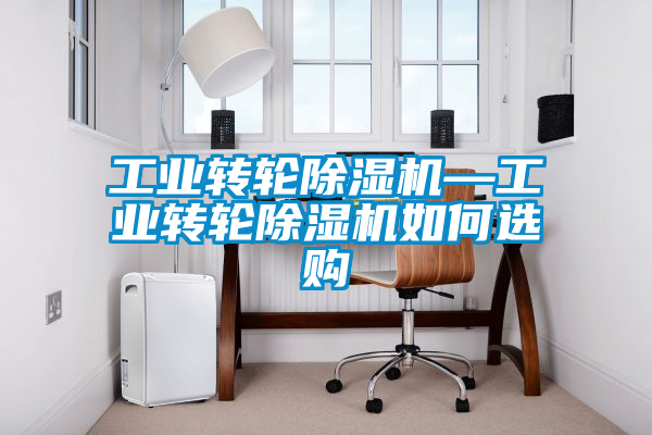 工業(yè)轉輪除濕機—工業(yè)轉輪除濕機如何選購