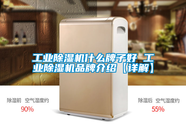 工業除濕機什么牌子好 工業除濕機品牌介紹【詳解】