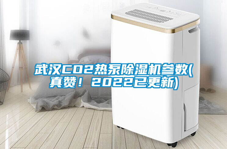 武漢CO2熱泵除濕機參數(真贊！2022已更新)
