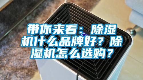 帶你來看：除濕機什么品牌好？除濕機怎么選購？