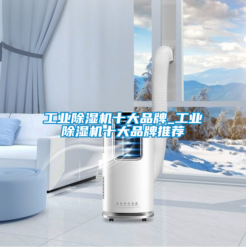 工業除濕機十大品牌_工業除濕機十大品牌推薦