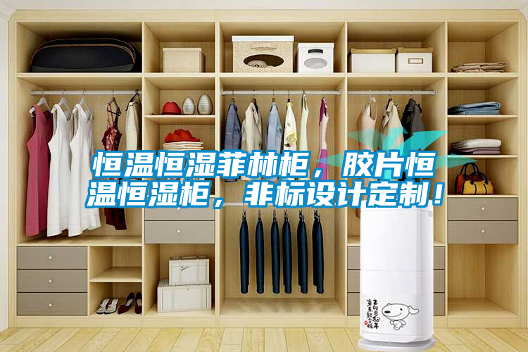 恒溫恒濕菲林柜，膠片恒溫恒濕柜，非標(biāo)設(shè)計(jì)定制！