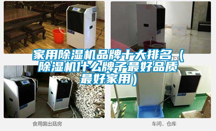 家用除濕機品牌十大排名（除濕機什么牌子最好品質最好家用）